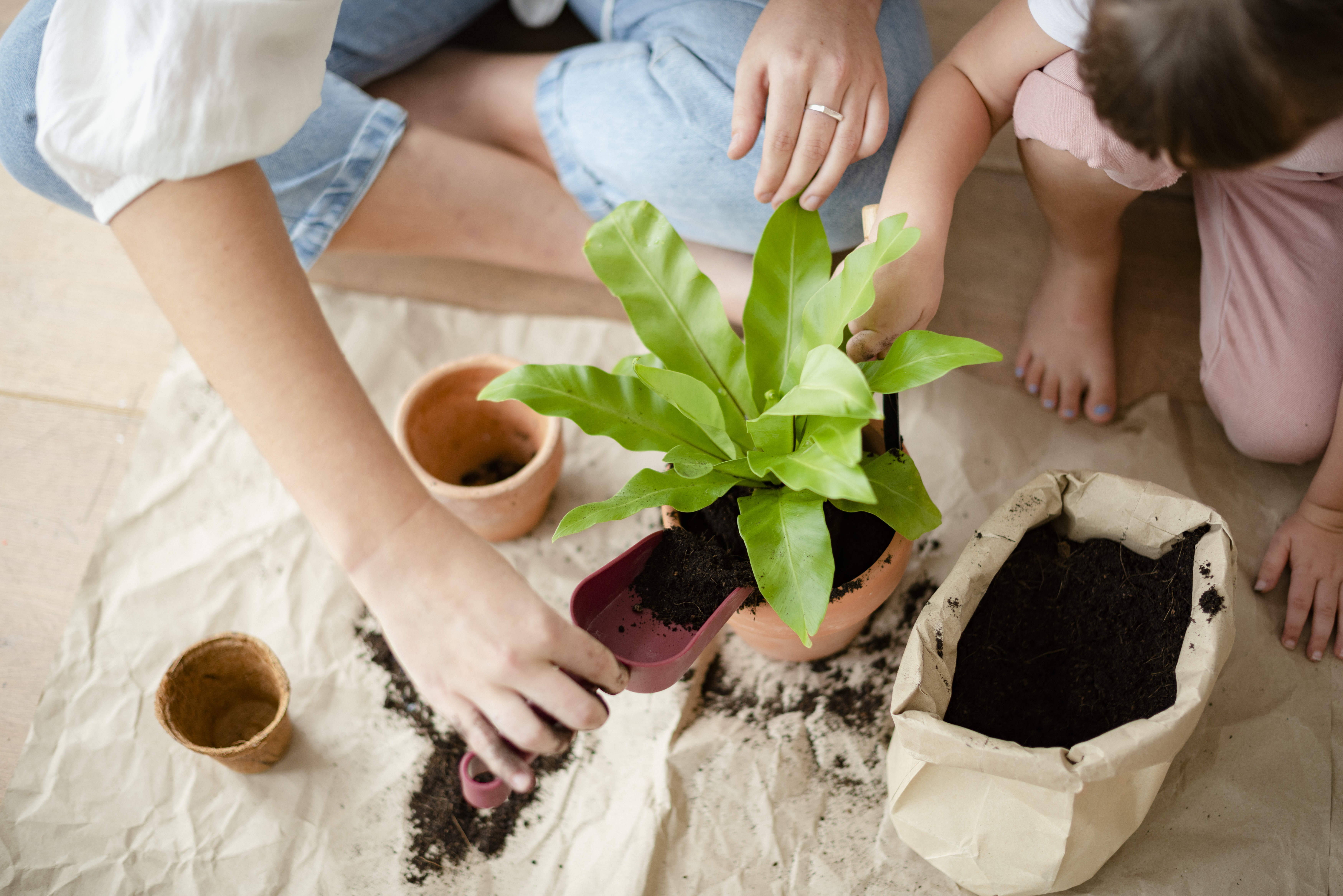 Grandir vert : les bienfaits de la végétalisation en crèche pour le développement des tout-petits
